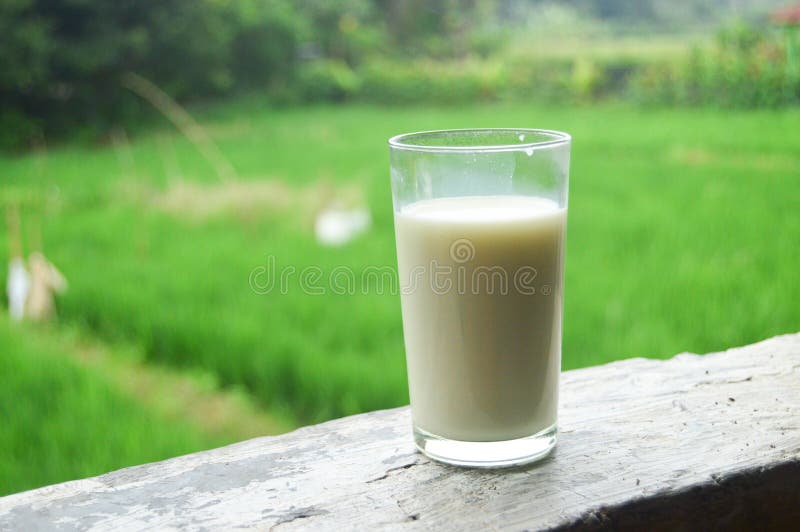 Fresh Milk morning healthy for children